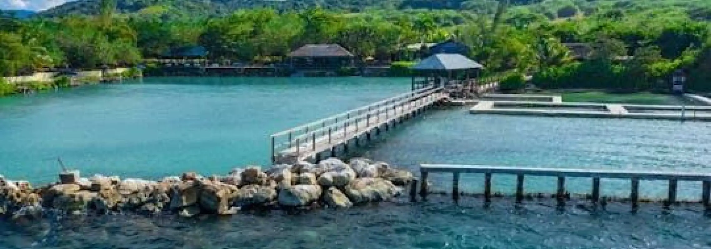 蒙特哥灣海豚灣常規遊覽