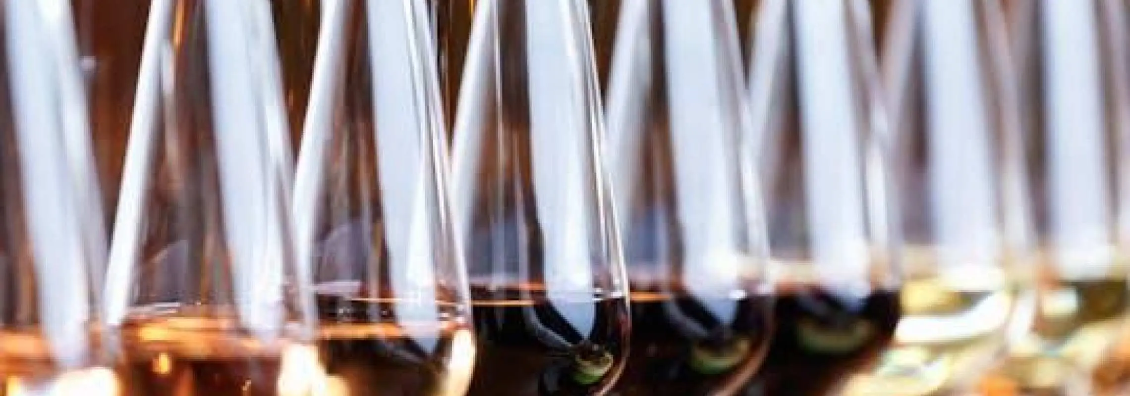 Slovak wine tasting with a sommelier in Bratislava