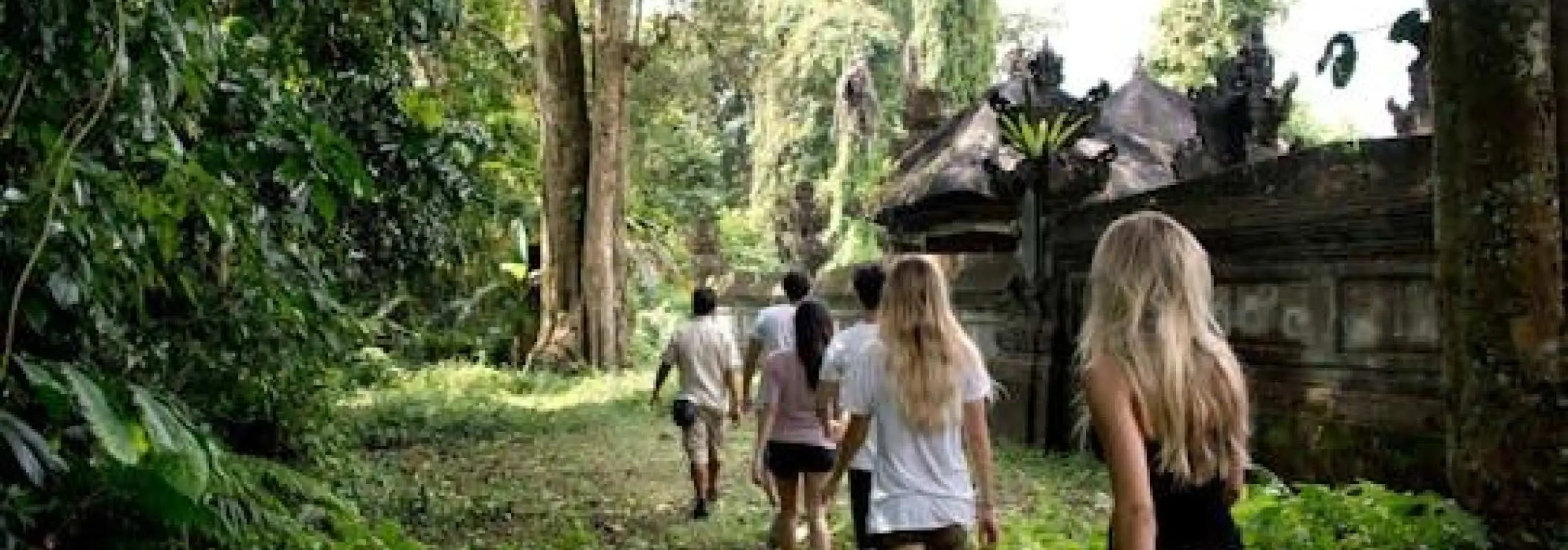 Tropical Hike to Taro with Lunch