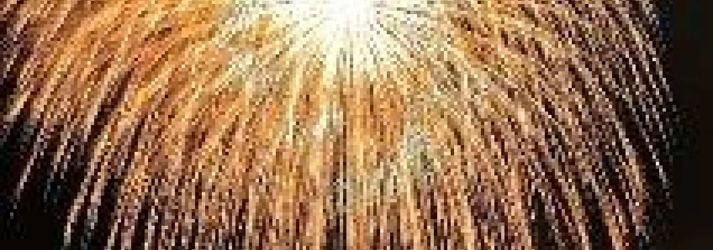 [Tour Confirmed] Katagai Fireworks 2-Day Tour - Round-trip Shinkansen included - Enjoy the Katagai Festival's Grand Fireworks Display, one of Echigo's three major fireworks displays, from reserved seating for two days.