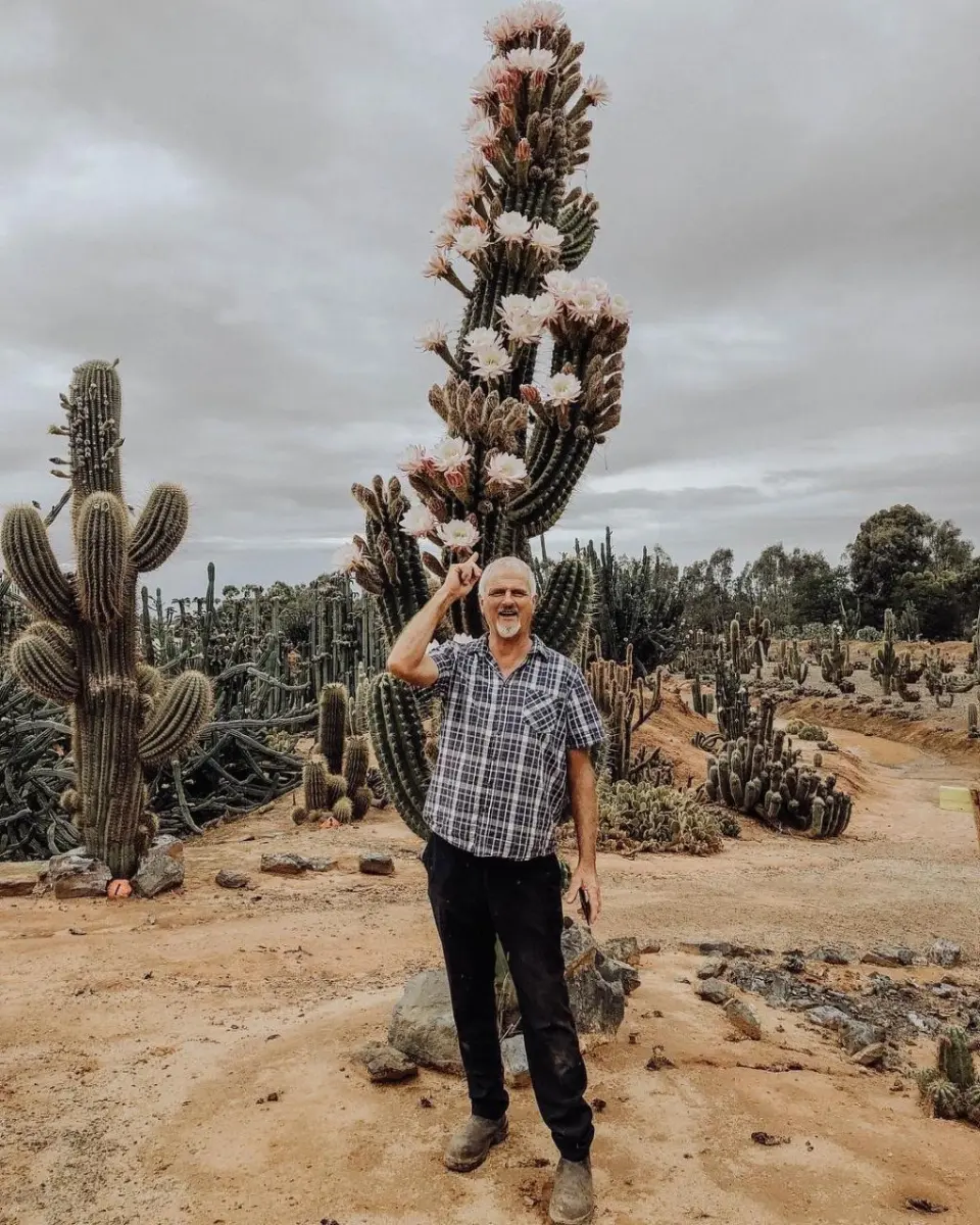 Melbourne Cactus Country Garden Entry Ticket | Victoria - KKday