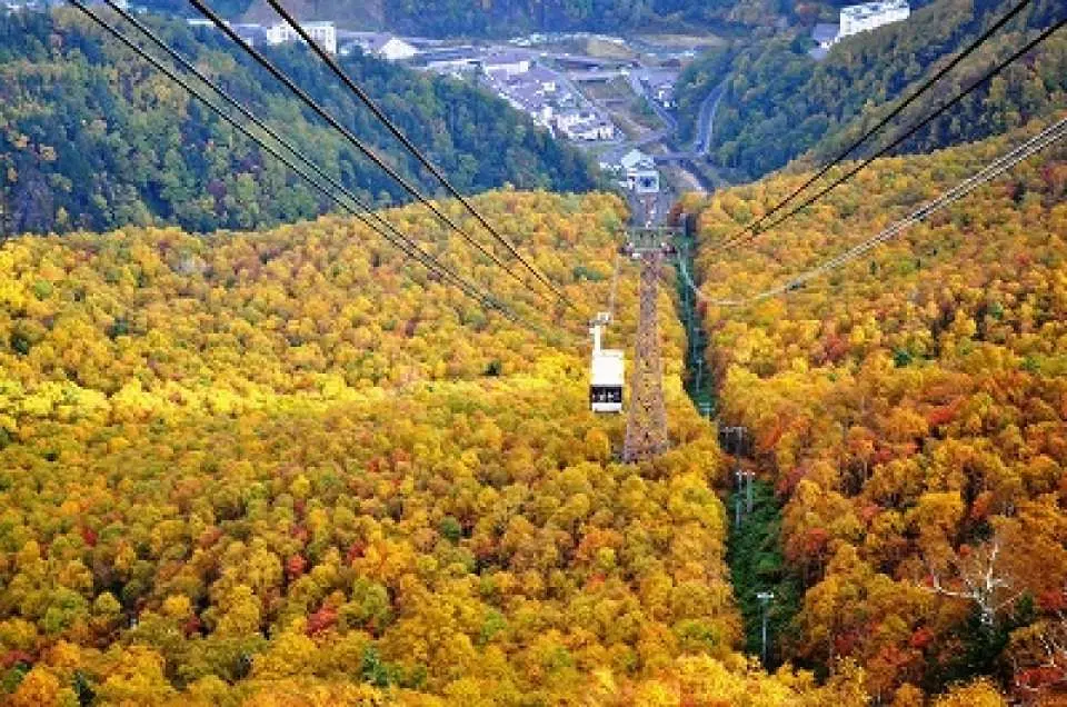 Hokkaido Autumn Leaves Day Tour: Daisetsuzan & Kurodake Cable Car