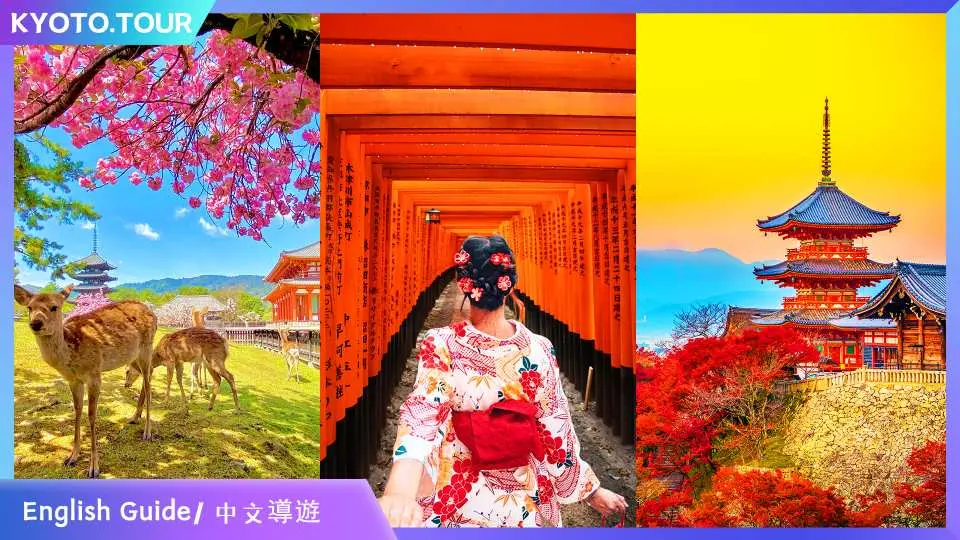 京都奈良一日遊｜清水寺、伏見稻荷大社、奈良公園餵鹿體驗- KKday