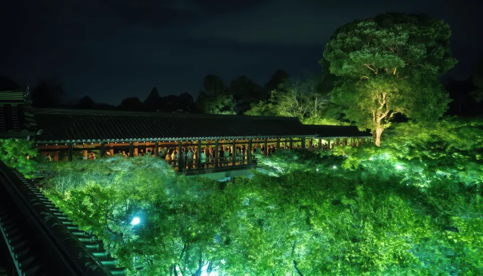 東福寺 京都 東福寺 夜間プレミアム拝観 入場チケット｜ZEN NIGHT - KKday