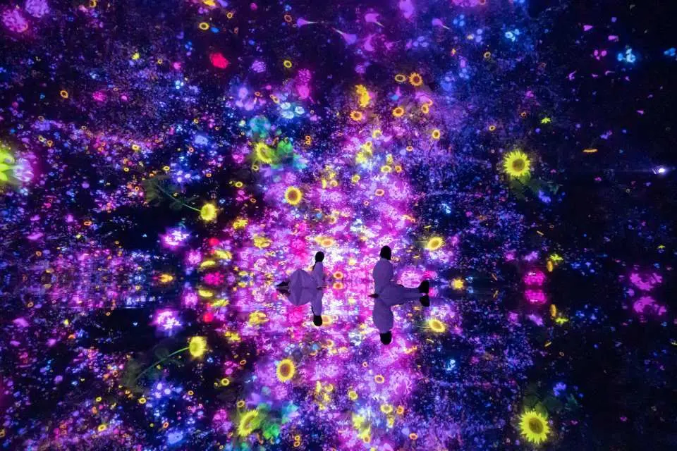 チームラボプラネッツ TOKYO 入場チケット｜豊洲デジタルアート - KKday