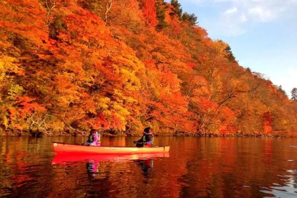 紅葉☆即購入OK様☆専用☆ 青森紅葉日帰りツアー｜奥入瀬渓流・十和田湖・弘前公園 - KKday