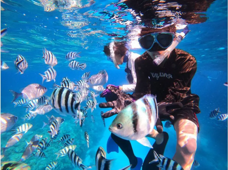 沖縄・北谷】写真動画プレゼント！ボートシュノーケル！サンゴ畑を見に