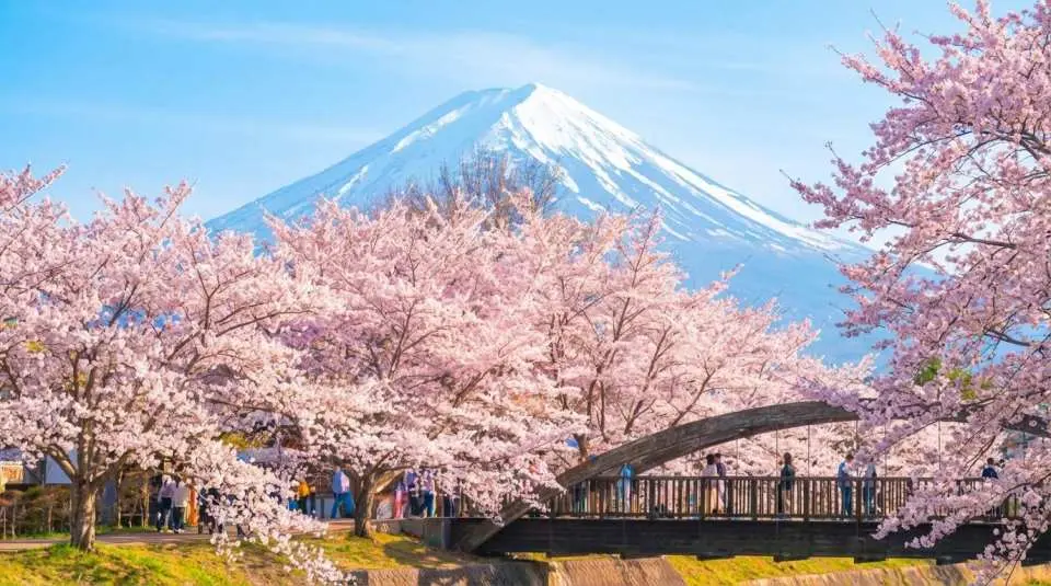 富士山＆箱根日帰りツアー｜箱根神社・大涌谷・忍野八海 - KKday
