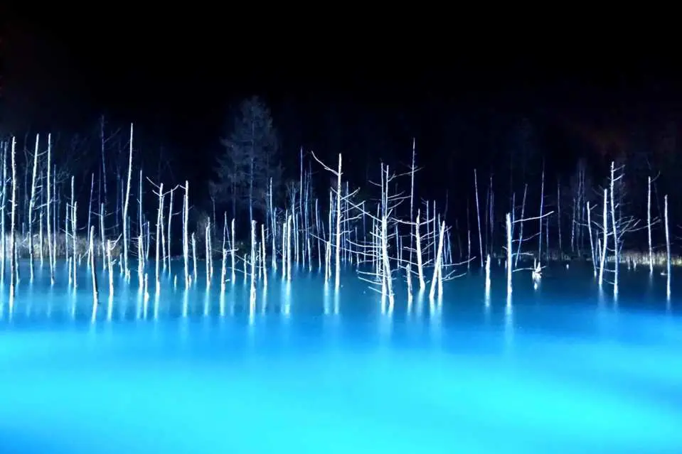 Hokkaido Winter Illumination Day Tour: Blue Pond & Ningle Terrace
