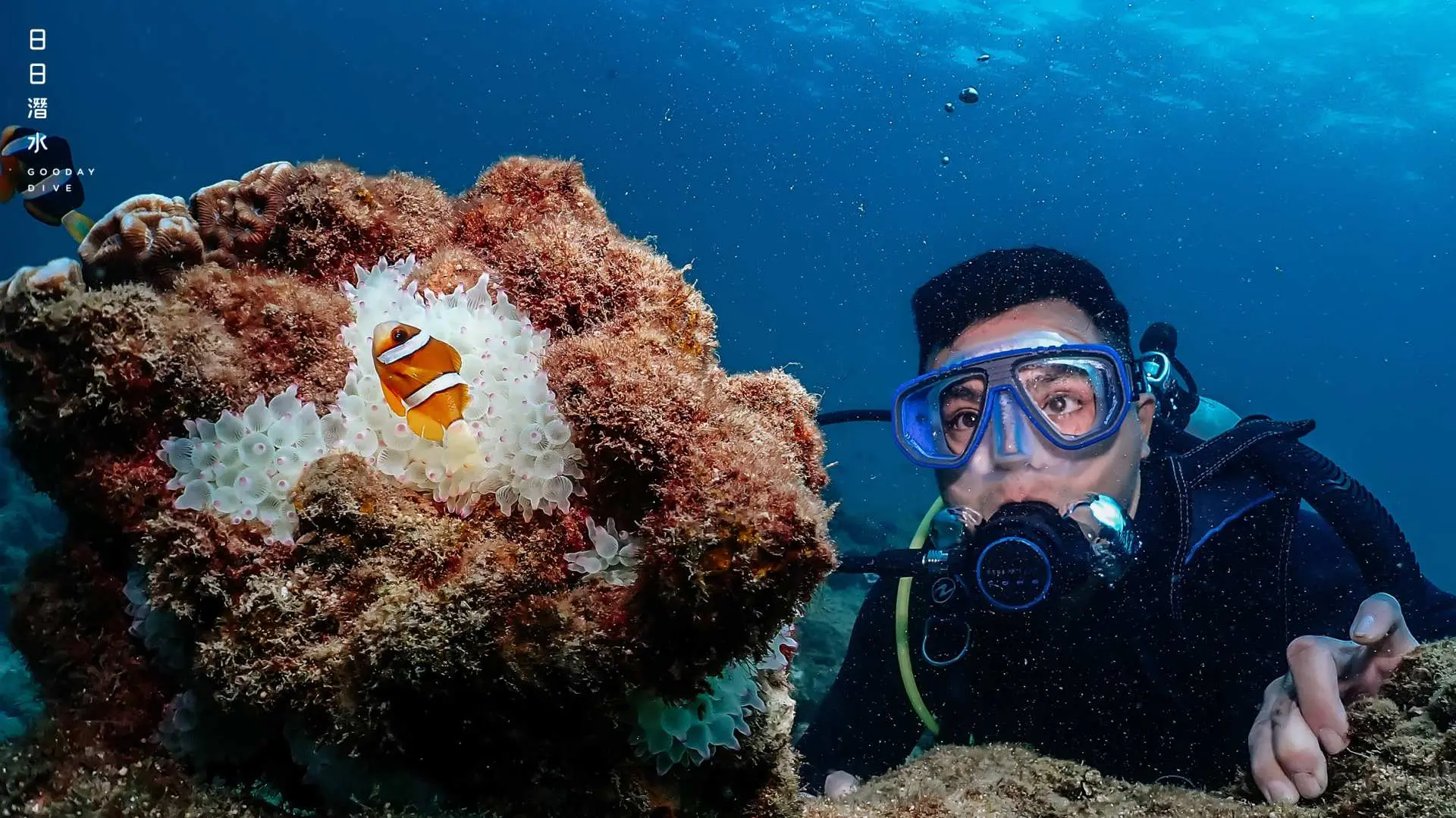 海底遊樂探索（ 30 分鐘）