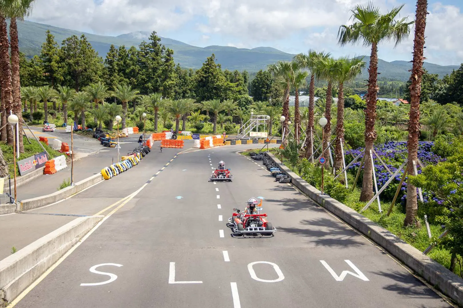 Go-karts drive past the 'SLOW' marking on the Wind 1947 track in Jeju, featuring tall palm trees and distant mountains, indicating a controlled speed section for enhanced safety during the experience.