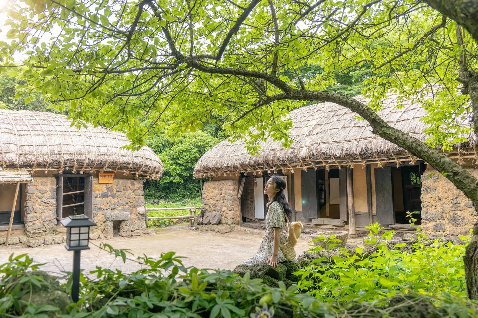 遊客坐在濟州民俗村綠意環繞的傳統茅草屋群旁，感受古樸的濟州鄉村生活氣息與自然之美。