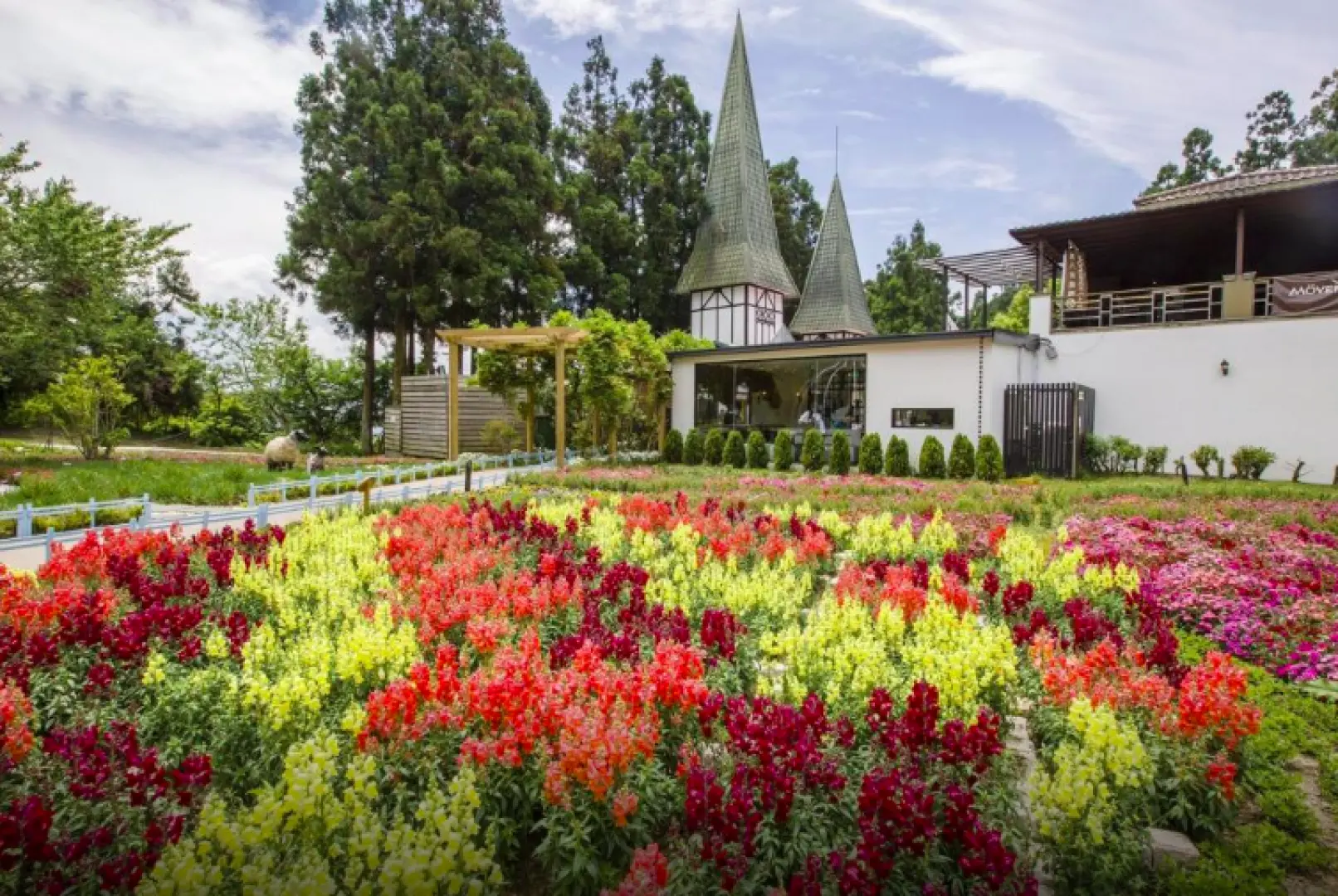 南投清境小瑞士花園內，繽紛花卉盛開的歐式花園景觀，白色尖頂建築與翠綠樹木營造北歐童話氛圍。
