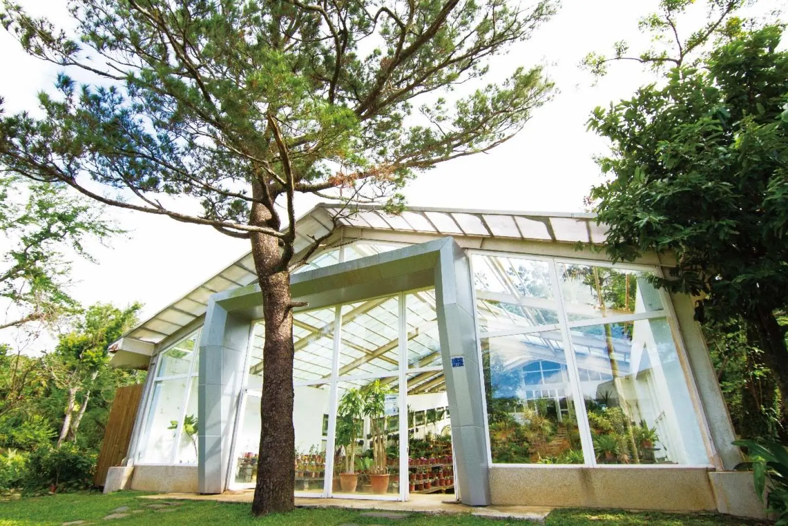 墾丁國家森林遊樂區內的熱帶植物溫室，陽光灑落玻璃屋頂，展示多樣化稀有植物，提供深度生態探索。
