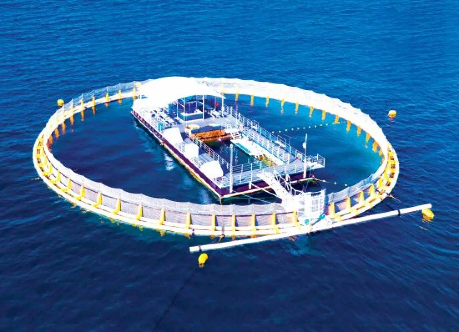 Oceanic Victor in-sea aquarium from above