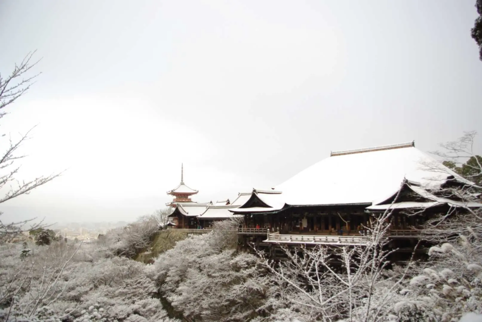 冬日清水寺風景