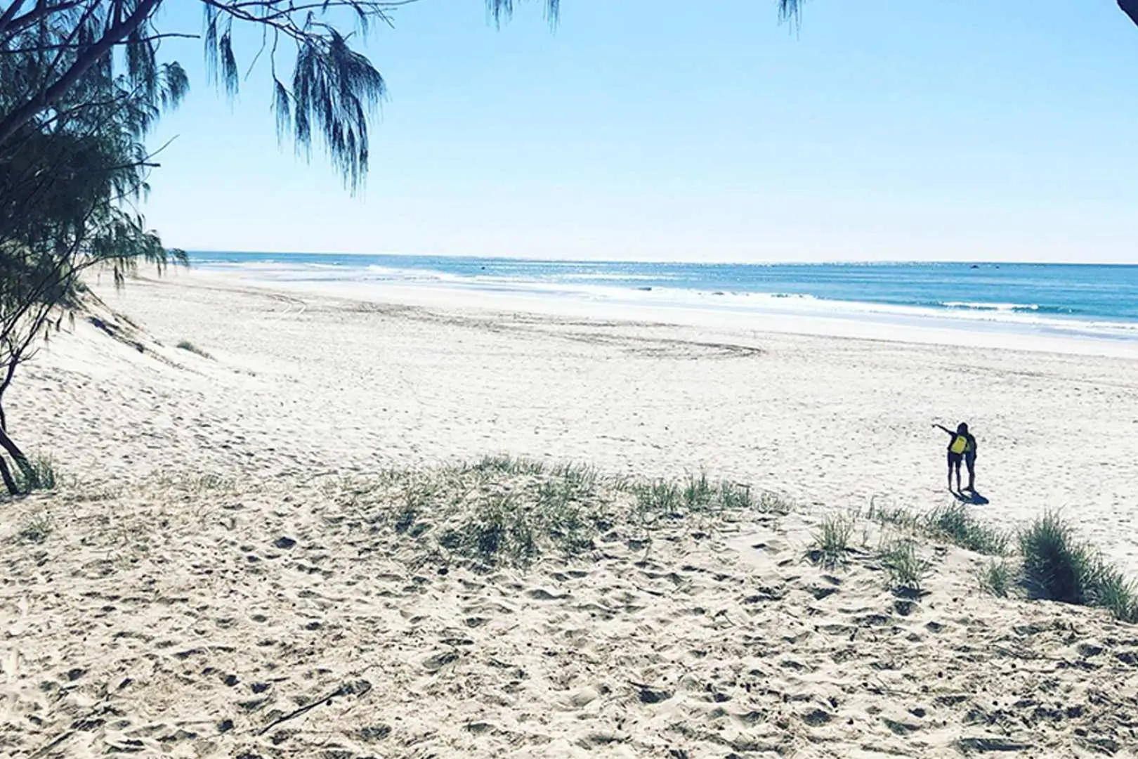Half-Day Stradbroke Island Tour: Kayaking, Snorkeling & Dolphin-Watching | Australia