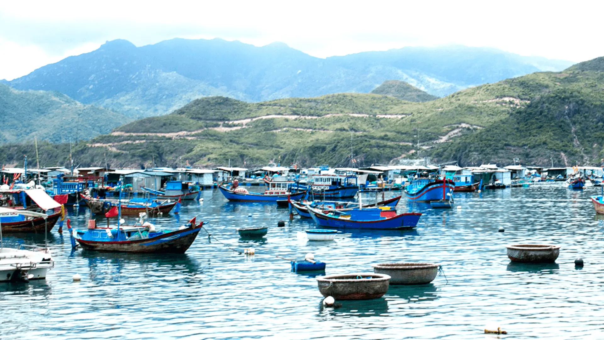 入住漁村，在當地餐廳享用海鮮午餐（時令菜單）。