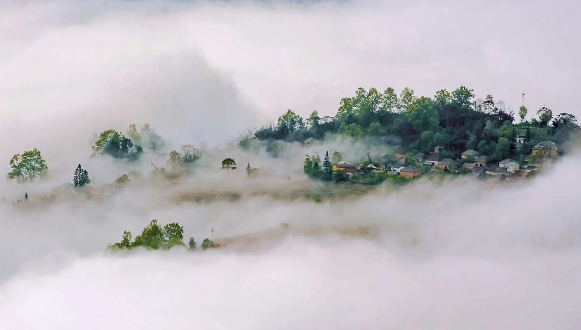 免费参观 Y Ty。一座座古朴的围墙房屋静静地躺在高地的云雾中，在这片宁静的高地构成了一幅自然与人文的美丽画卷。