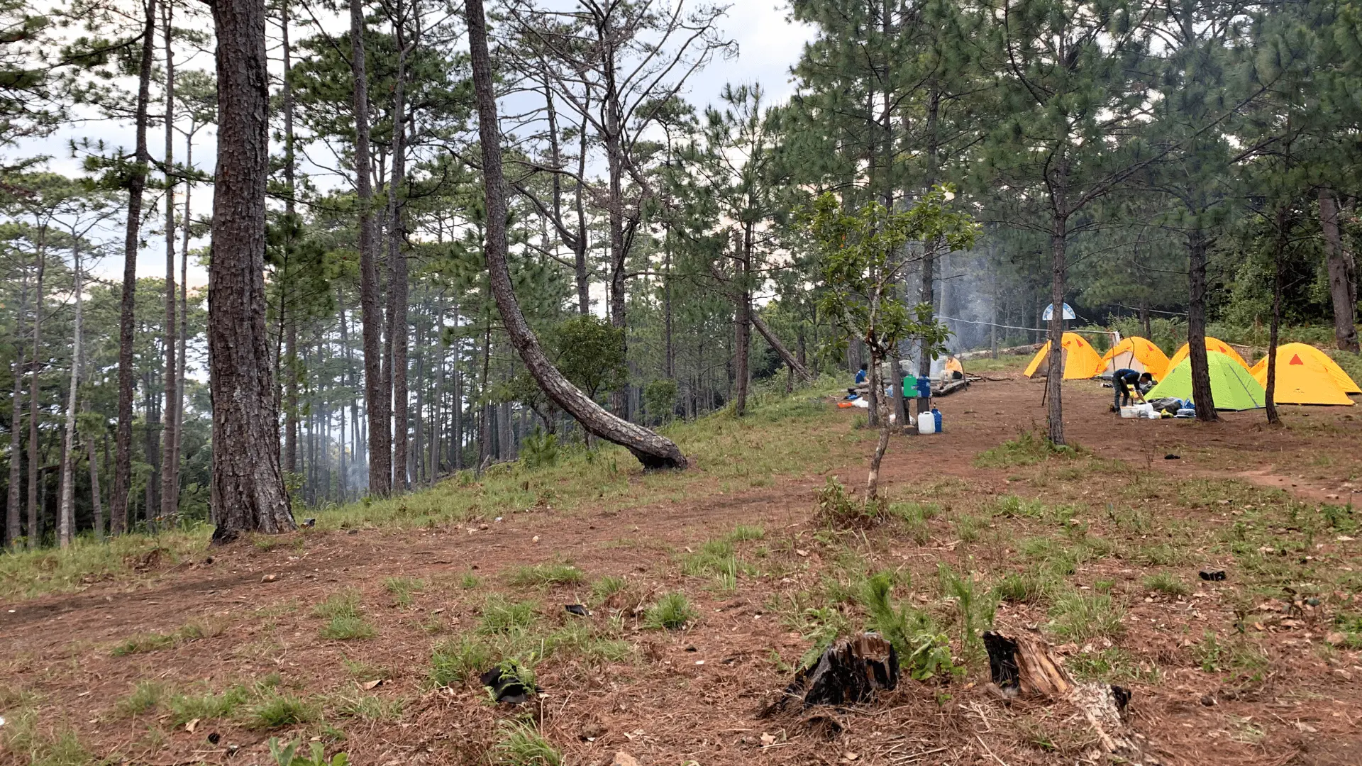 攻克最後1公里到達Bidoup峰，繼續前往半山腰營地。營地有廁所，在這裡搭帳篷休息。