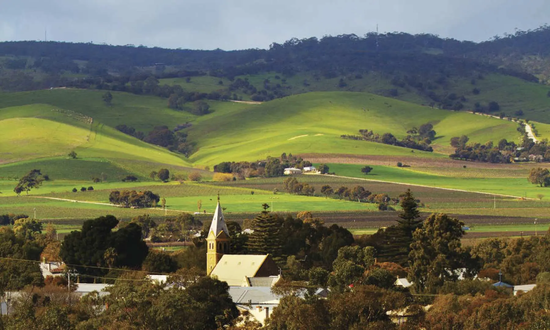 A magnificent panoramic view of Barossa Valley on a hop-on hop-off tour, showcasing rolling green hills, lush vineyards, tranquil villages, and a distinctive church spire.