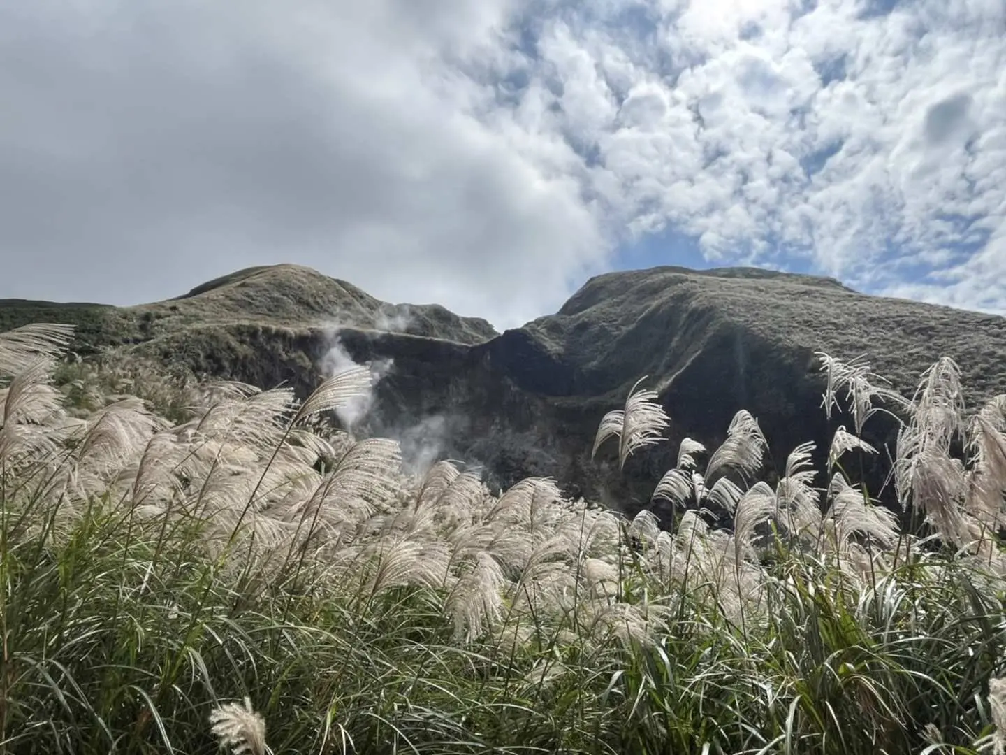 陽明山小油坑噴氣口，白色硫磺煙霧從地表冒出，周圍芒草搖曳，展現北投陽明山獨特的火山地質景觀。