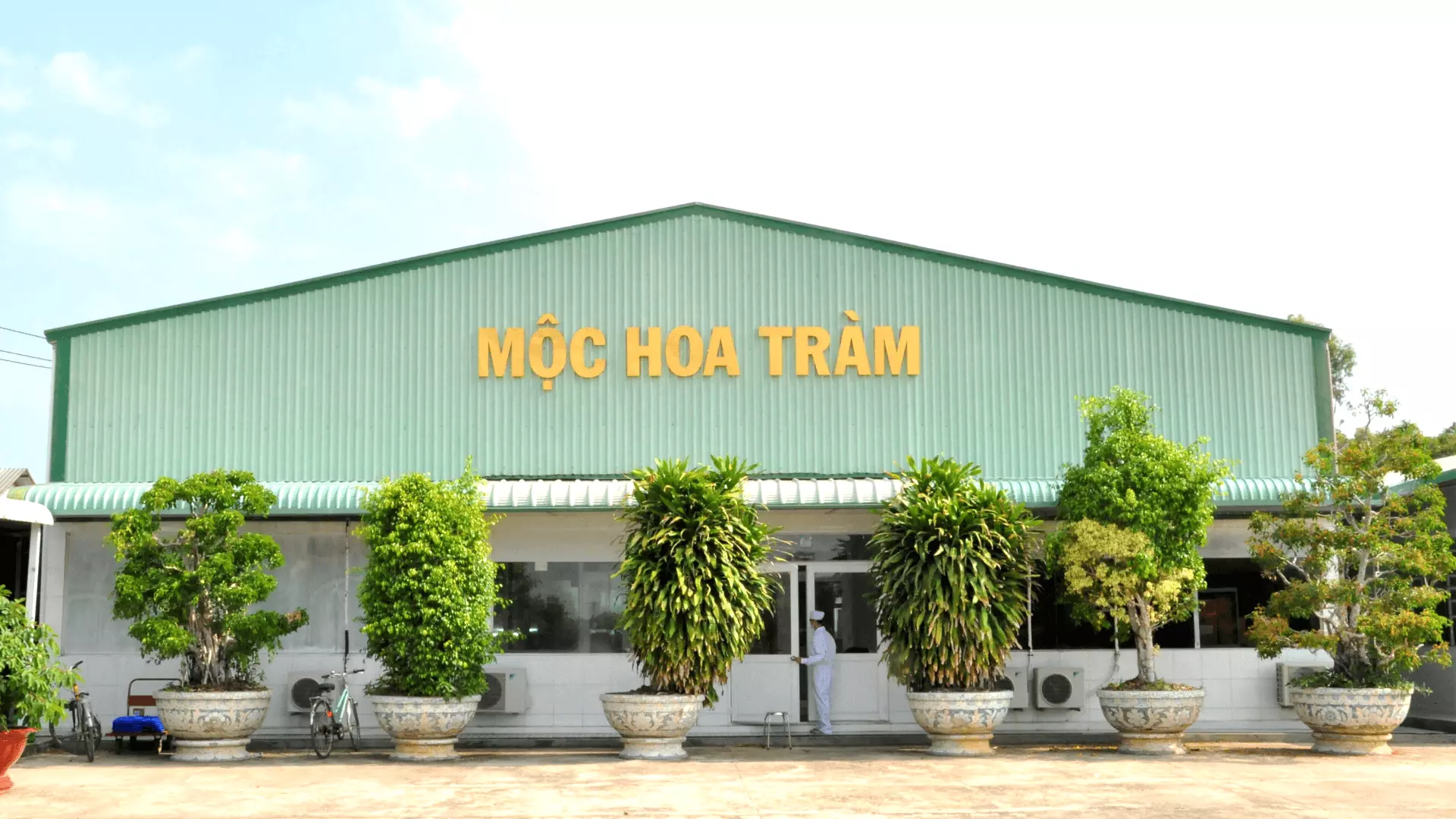 에센셜 오일, 화장품, 영양 보조제 및 허브와 같은 천연 허브 제품이 생산되는 Moc Hoa Tram 공장을 방문하세요. 에센셜 오일 만들기를 시도할 수 있습니다(자비로 체험).