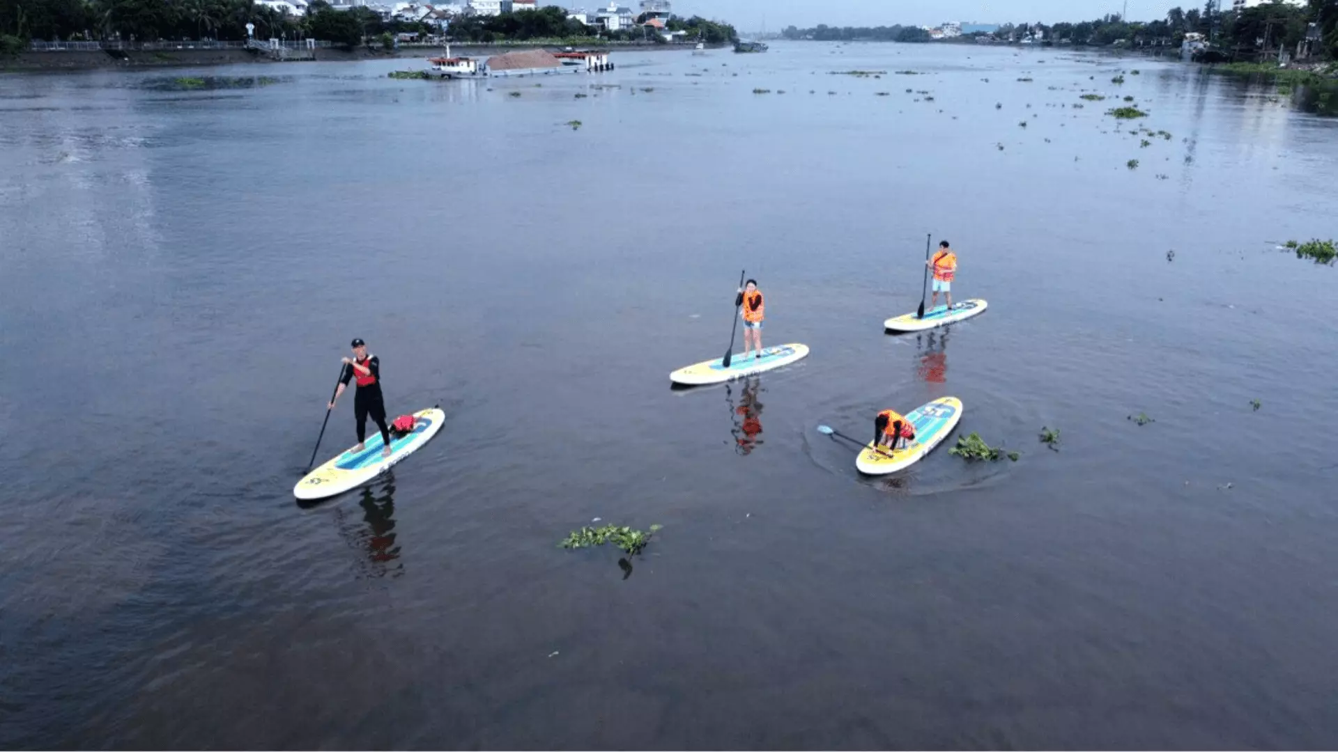 Join the SUP rowing program to visit the Saigon River. The best moment after a hard-working day is when we can paddle a SUP on the river, swim in the fresh, cool water, watch the green trees along the river banks (1 person/SUP).