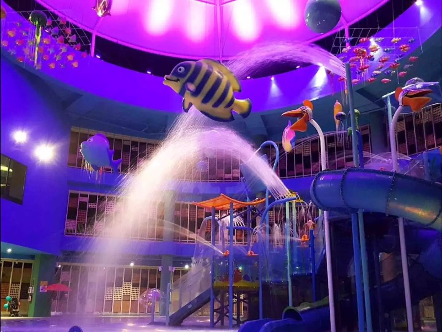 Captivating view of Splash @ Kidz Amaze SAFRA Punggol indoor water playground at night, illuminated by purple lights with fish decorations and dynamic water jets.