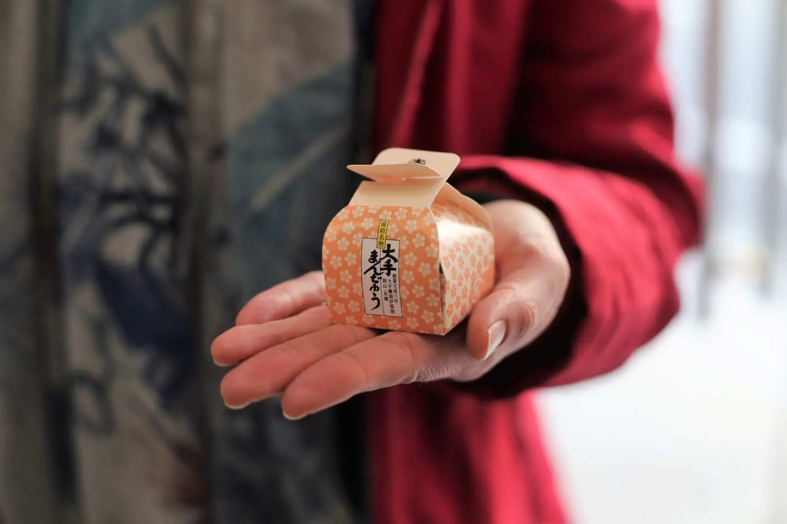 在大手馒头京桥总店品尝现做的馒头，听取关于城下町历史的讲座。 （*在星期二，改为去 Koeido takeda）