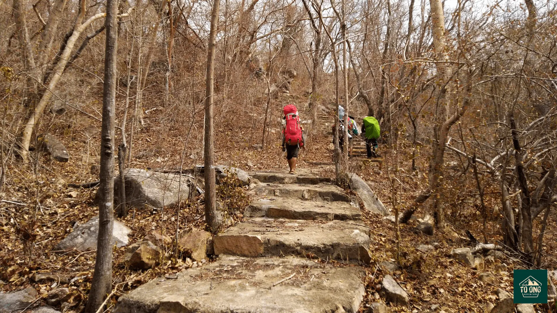 Trekking through the dry, leafless forest and small streams.