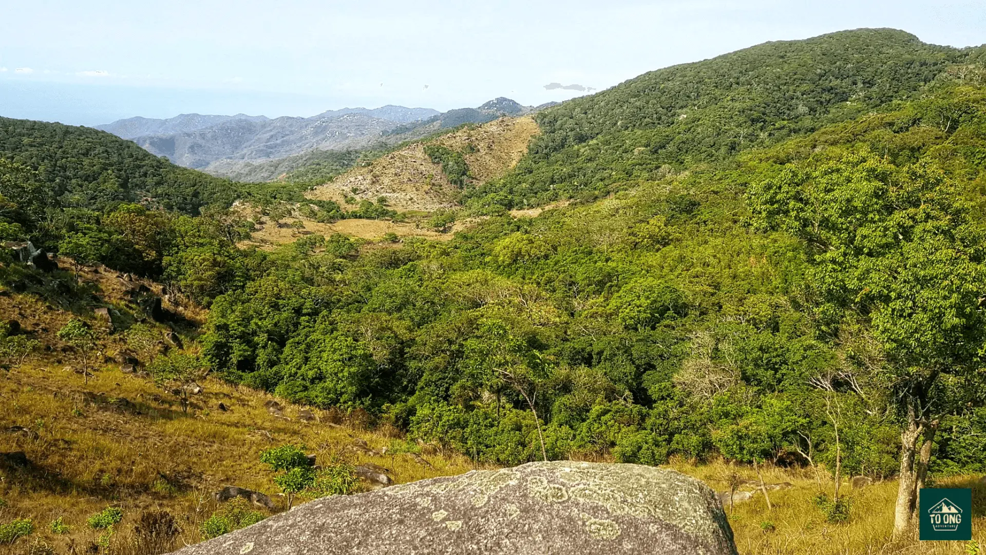 Continue the journey through many different layers of vegetation and diverse natural landscapes.