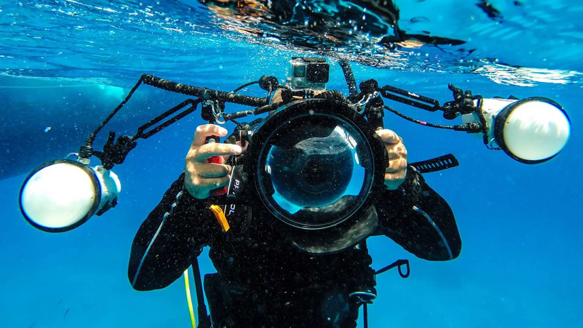 Want to learn to take beautiful underwater photos? Let’s take advanced courses together!