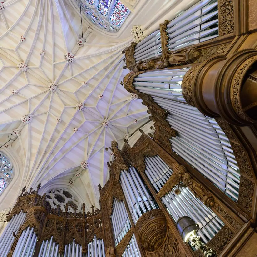 The massive grand organ and intricate Gothic vaulted ceiling inside St. Patrick's Cathedral, showcasing exceptional craftsmanship and acoustic design, an unmissable unique experience on a deep audio tour.