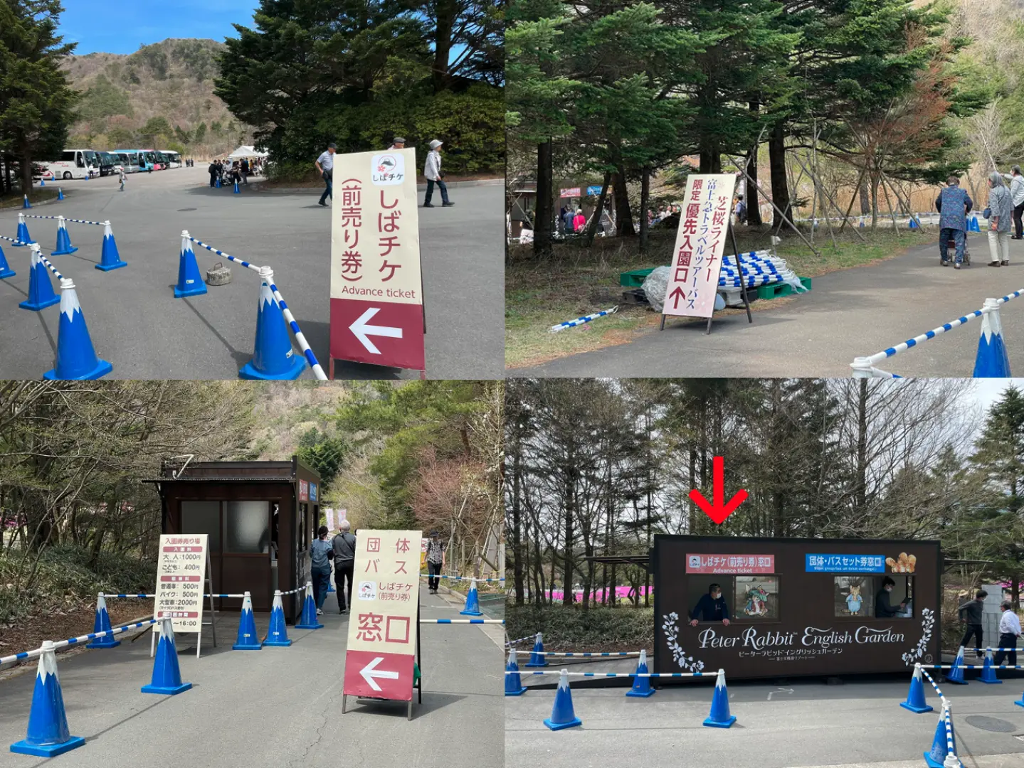 2023 Fuji Shibazakura Festival Advance Ticket | Yamanashi, Japan