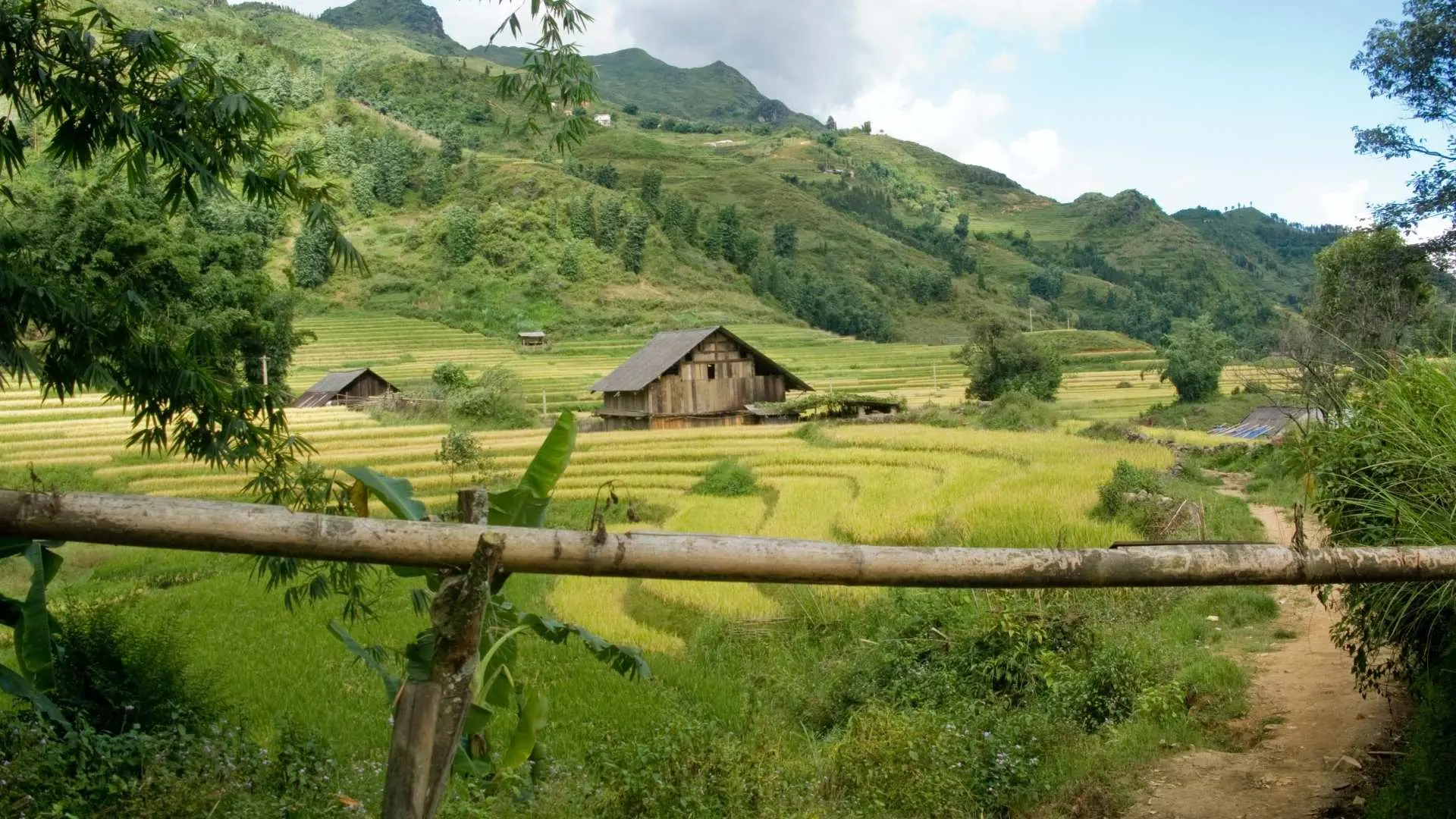 หลังอาหารเช้า นำท่านเยี่ยมชมสถานที่ท่องเที่ยว Swing Sapa ที่มีงานศิลปะที่น่าสนใจ เช่น พระพุทธรูป ร้านกาแฟพร้อมวิวภูเขา ฟังเพลงภูเขา จิบเครื่องดื่มร้อน ๆ พร้อมชมทะเลหมอก