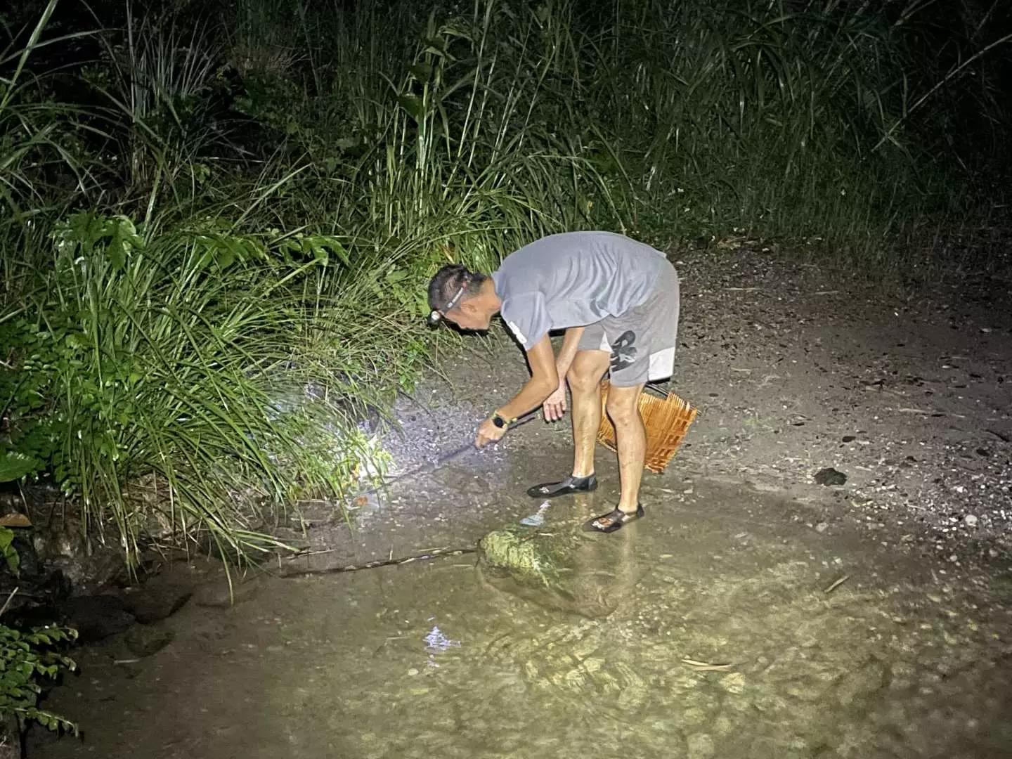 A visitor with a headlamp and net intently searches for river prawns in the shallow stream, enjoying the hands-on ecological exploration during Hualien's night prawning activity.