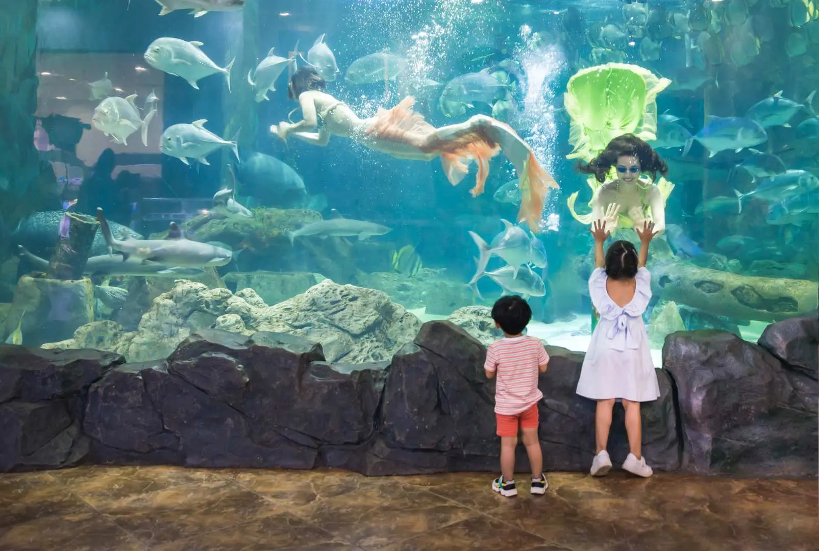 ベトナム、ヴィンロン真珠湾水族館で、子供たちが大きな水槽で優雅に泳ぐ人魚とカラフルな海洋生物のショーを興奮して鑑賞している。
