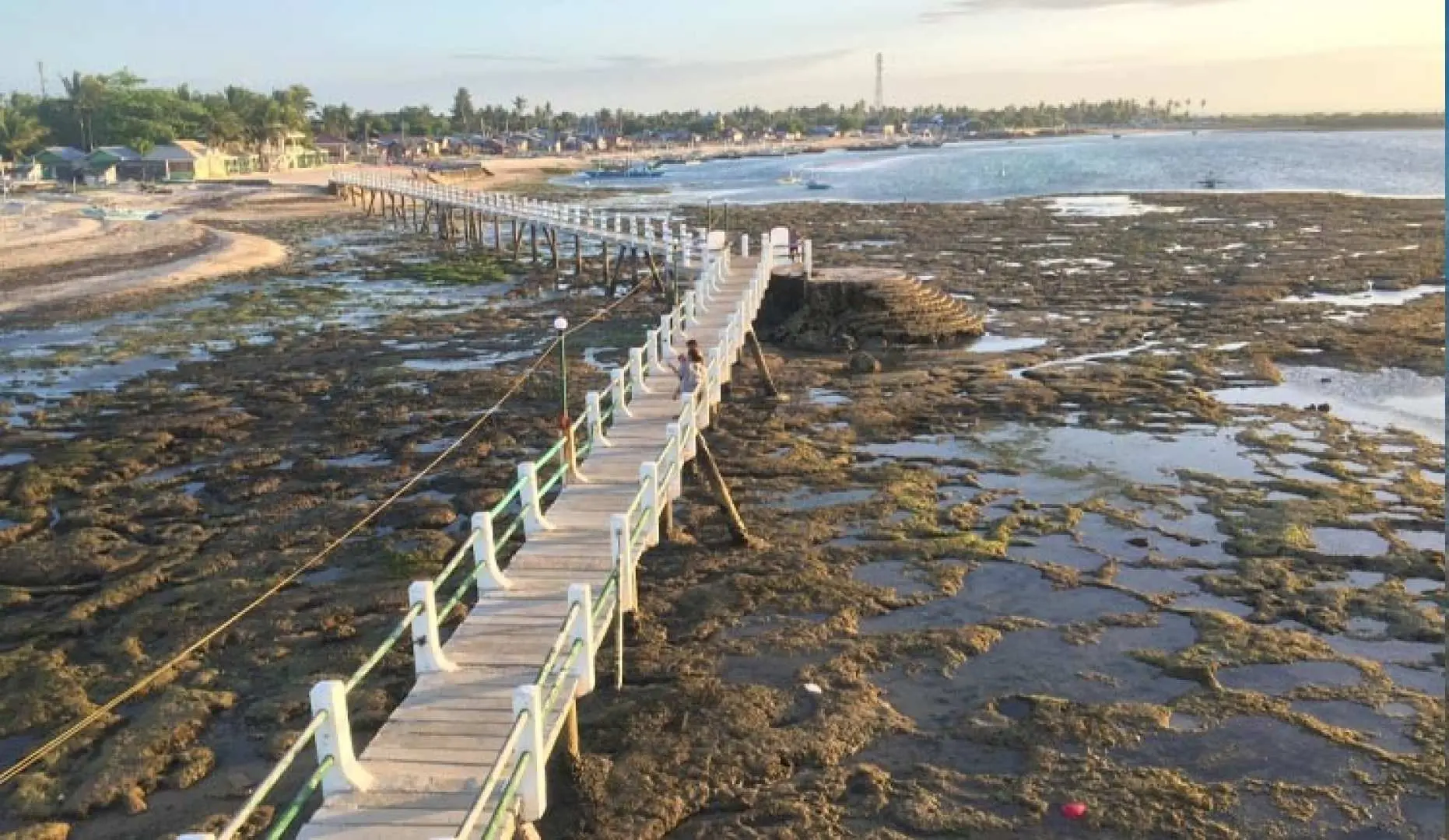 A long wooden pier stretching over an exposed coral seabed during low tide on Bantayan Island, offering unique coastal views and connecting to local communities.