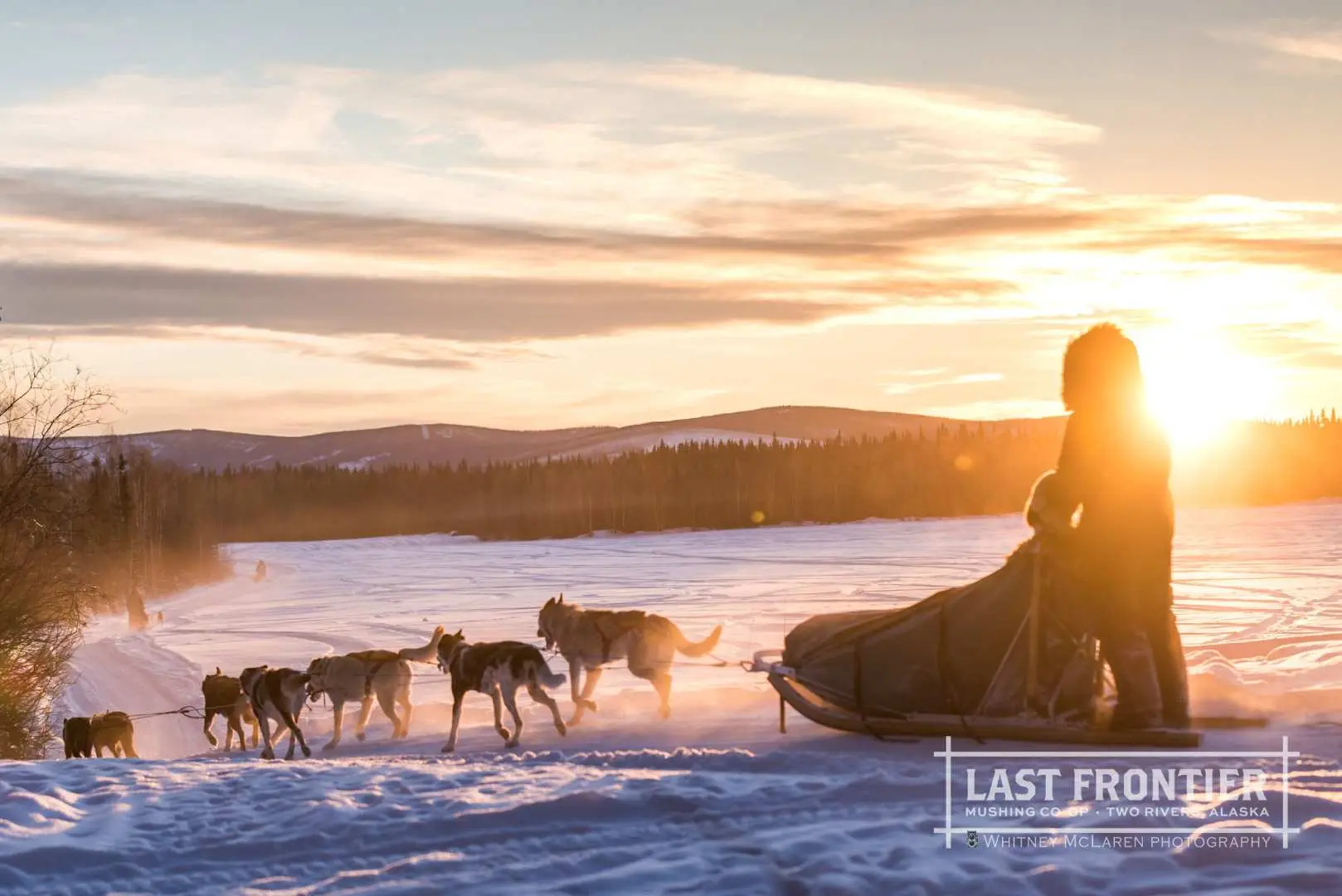 A dog sledding team and musher silhouetted against a stunning golden sunset over a vast snowy landscape in Fairbanks, Alaska, offering breathtaking Arctic views.