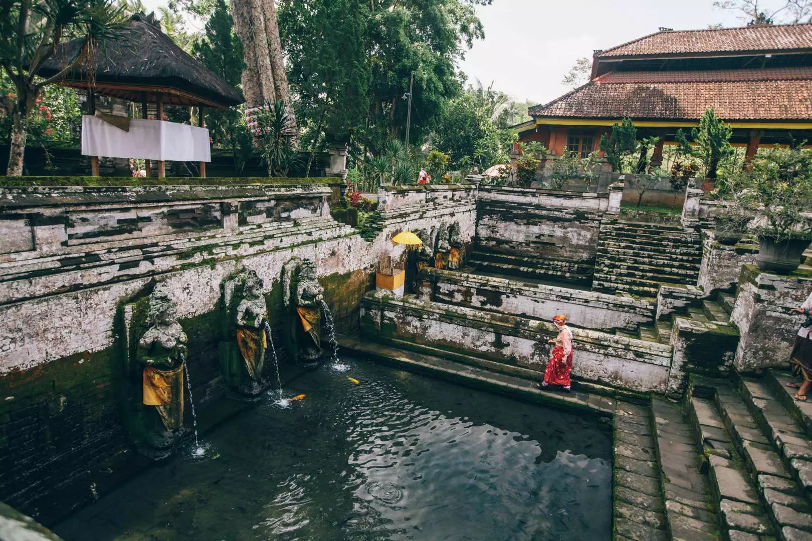 People perform a religious bathing ritual under ancient stone water spouts in the purification pools of Tirta Empul Temple, Bali, experiencing a sacred cleansing and unique Balinese religious culture.