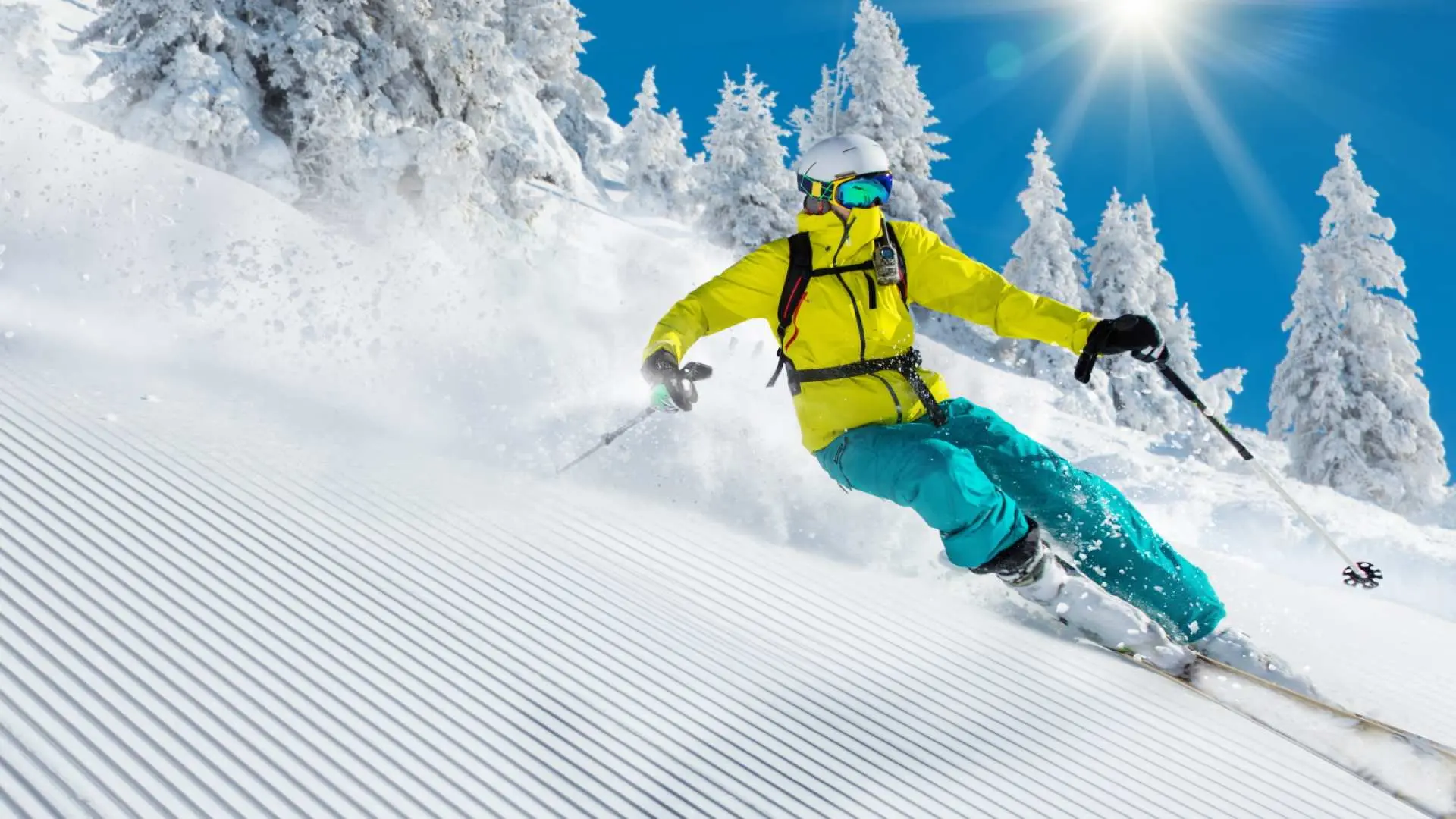 A skier elegantly glides down a perfectly groomed slope at Jisan Ski Resort in South Korea, with snow-covered trees in the background, showcasing the beauty of a winter forest ski resort in Gyeonggi-do.