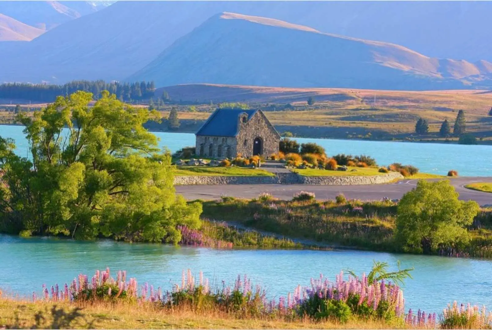 ◎Lake Tekapo 蒂卡波湖湖水特殊的礦物質成分，使水面呈現牛乳藍的水色，湖畔有一座著名的