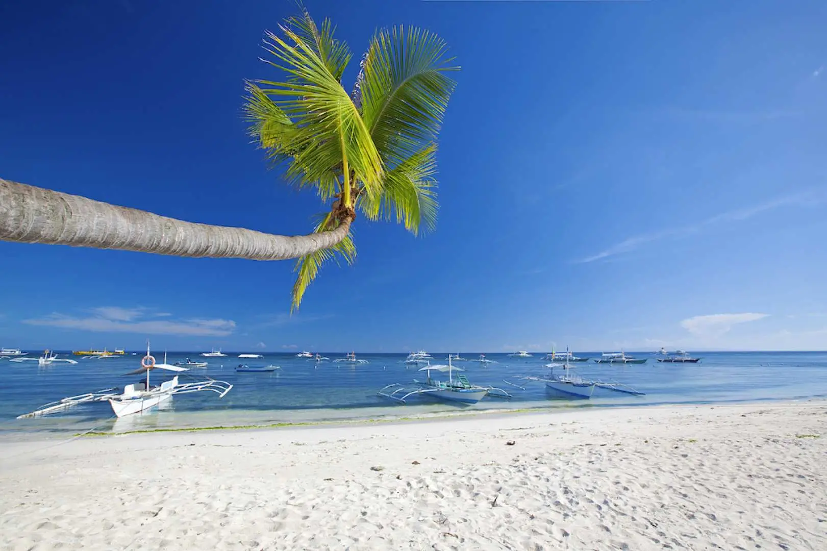 Rest and relax on the sandy beaches of Balicasag Island while waiting for your lunch.