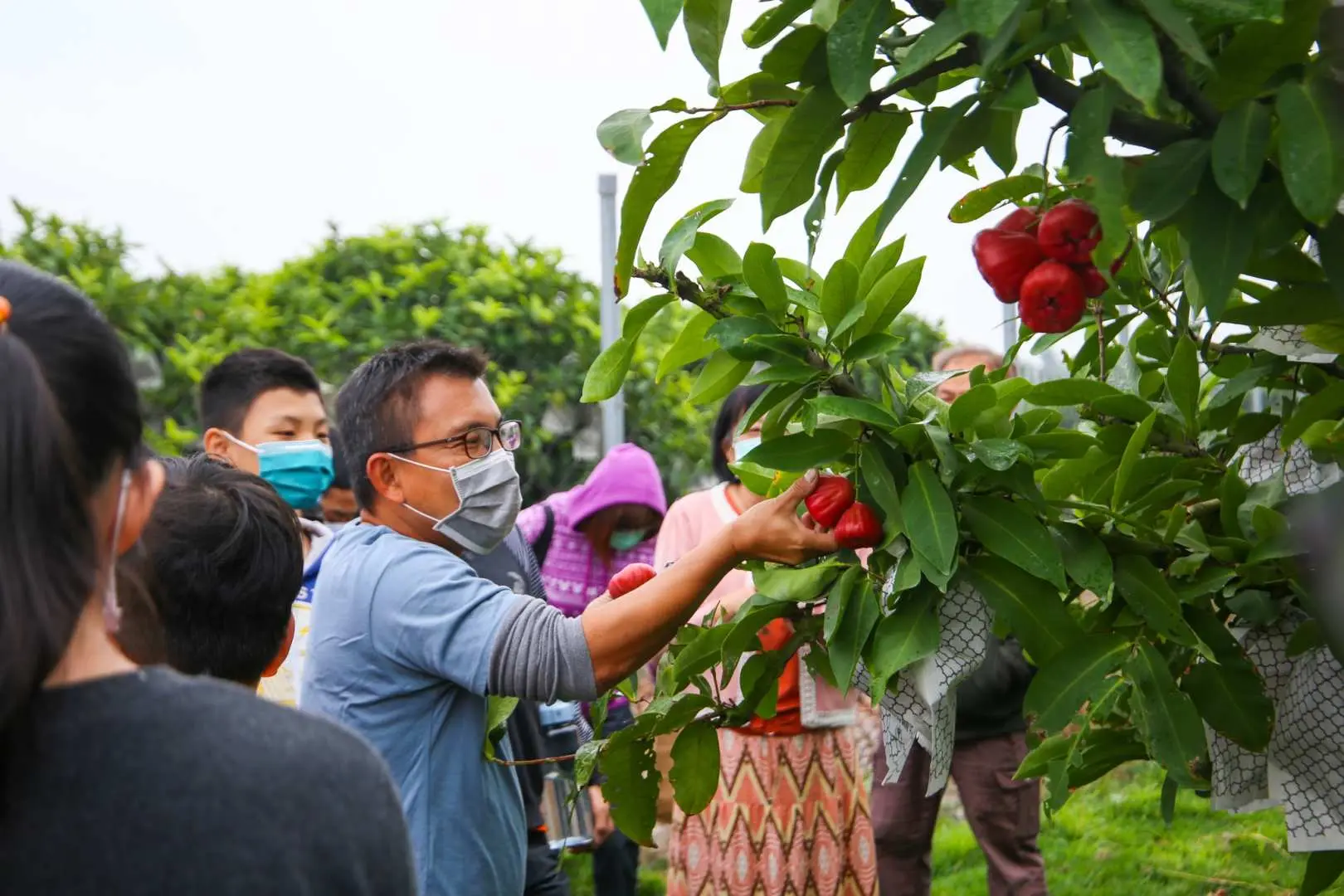 果园参观与介绍