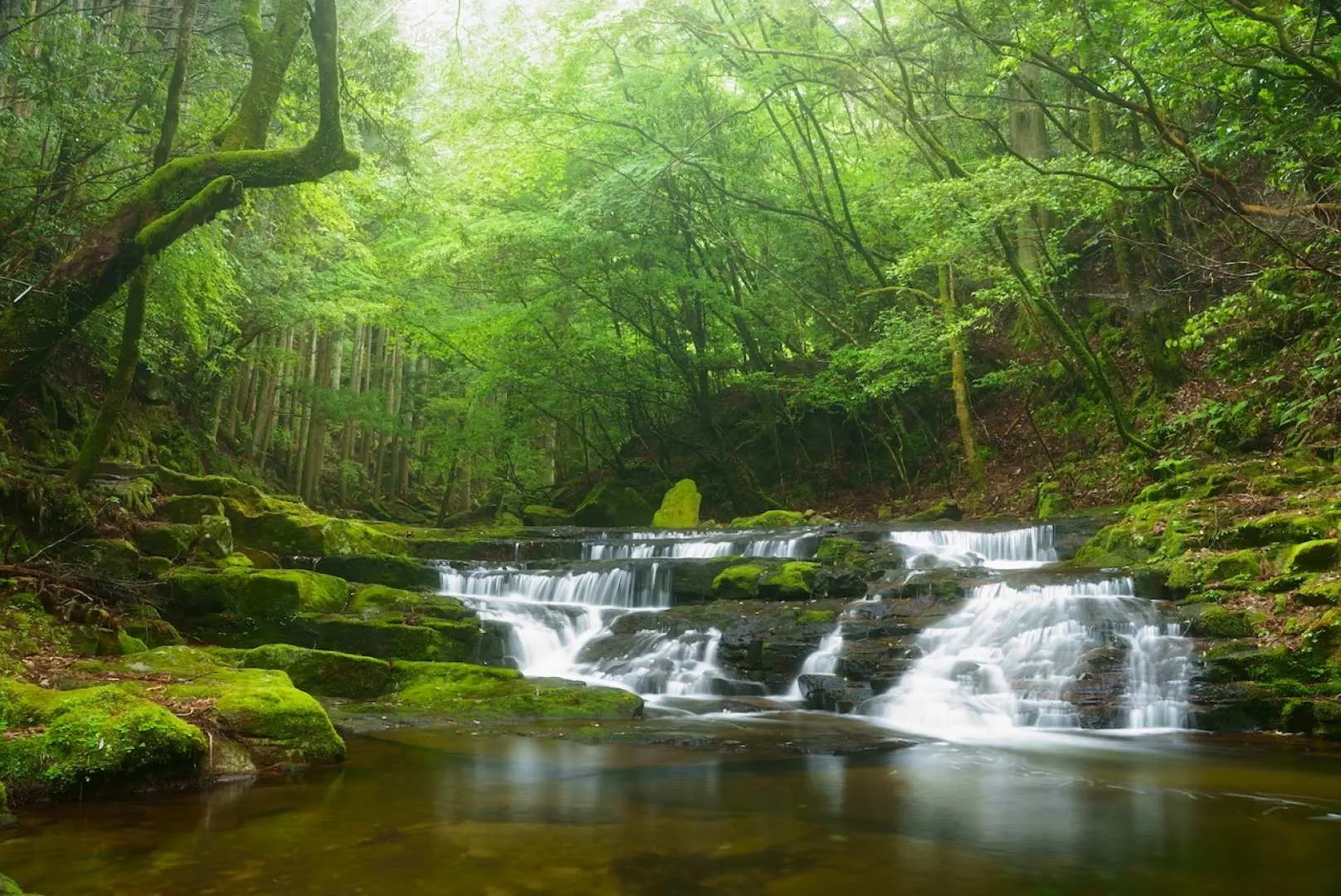 Những dòng suối trong vắt tại 48 thác Akame, Nabari, Mie, chảy nhẹ nhàng qua những tảng đá phủ rêu, mang đến trải nghiệm tắm rừng chữa lành và phục hồi.