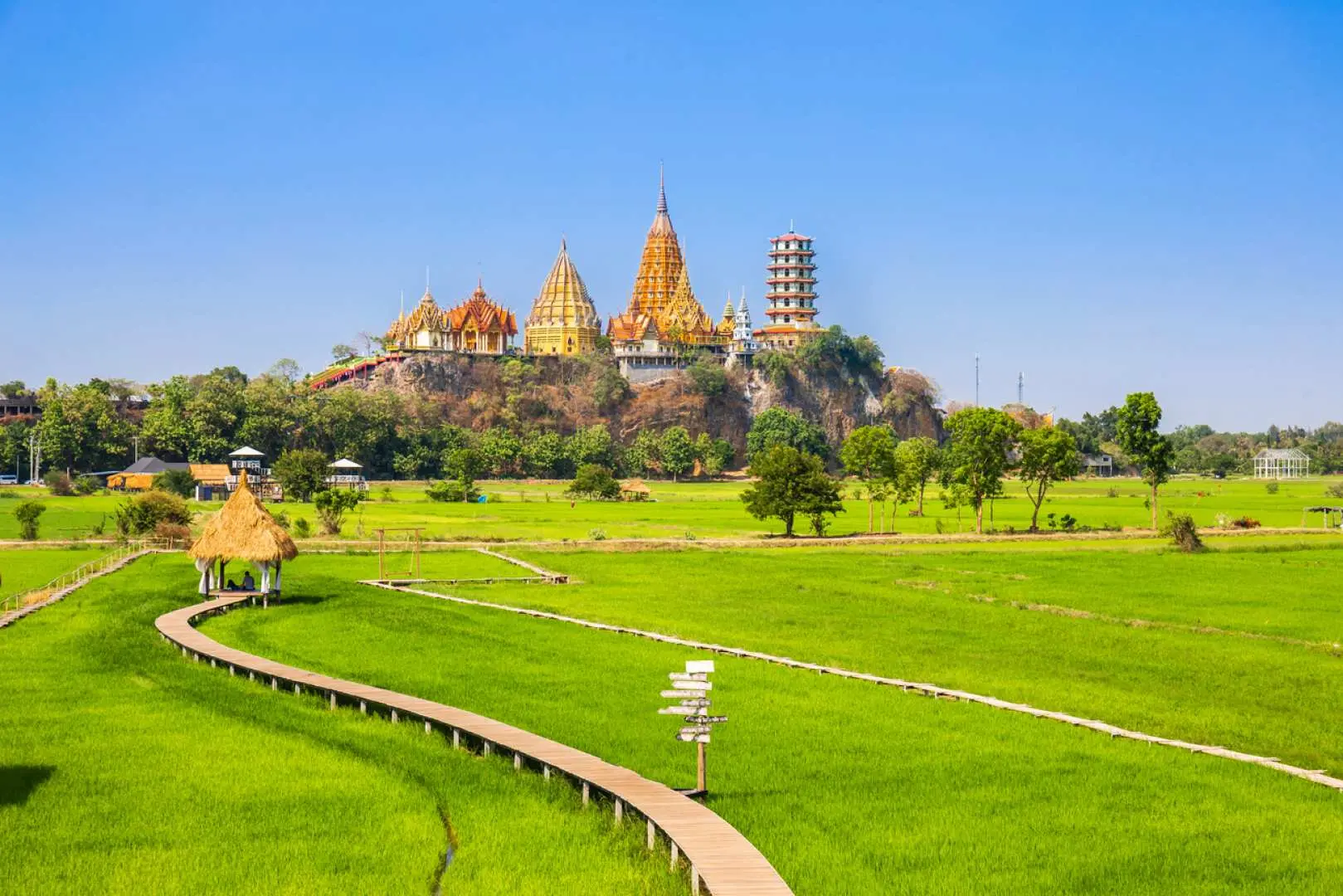 Thailand's Wat Tham Suea (Tiger Cave Temple) near Kanchanaburi's Meena Cafe, with its gleaming golden temple structures atop a hill, overlooking lush green rice fields and a wooden boardwalk.