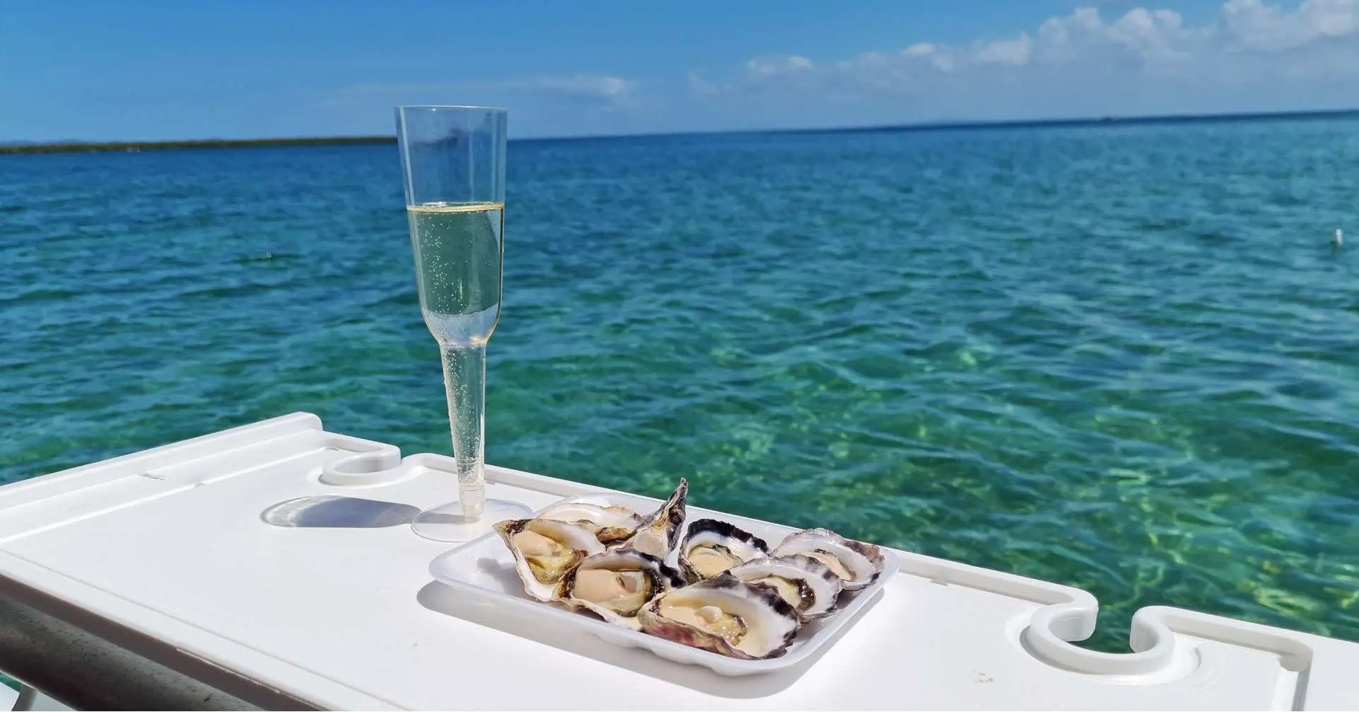 Champagne and Oyster Tour from Brisbane | Queensland