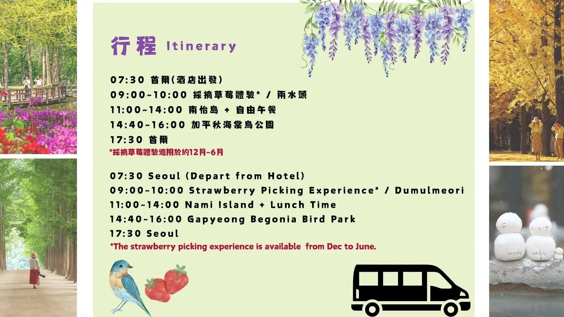 韓國京畿道、江原道包車一日遊的詳細行程表，包含出發時間、景點順序與草莓採摘的季節說明。