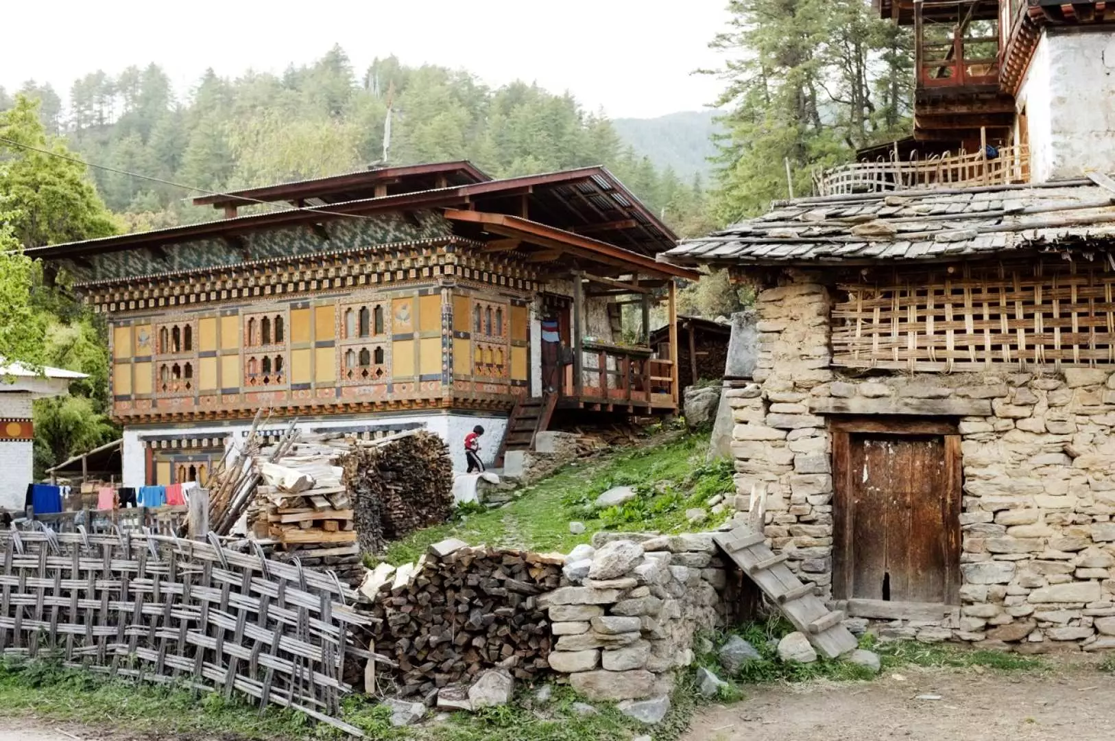 Experience true Bhutanese hospitality by visiting a local family at their home. Share an authentic dinner while engaging in insightful conversations, gaining a glimpse into their lives and immersing yourself in the warm embrace of traditional Bhutanese culture